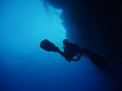 Red Sea at 30 mtrs by Patrick Sullivan 